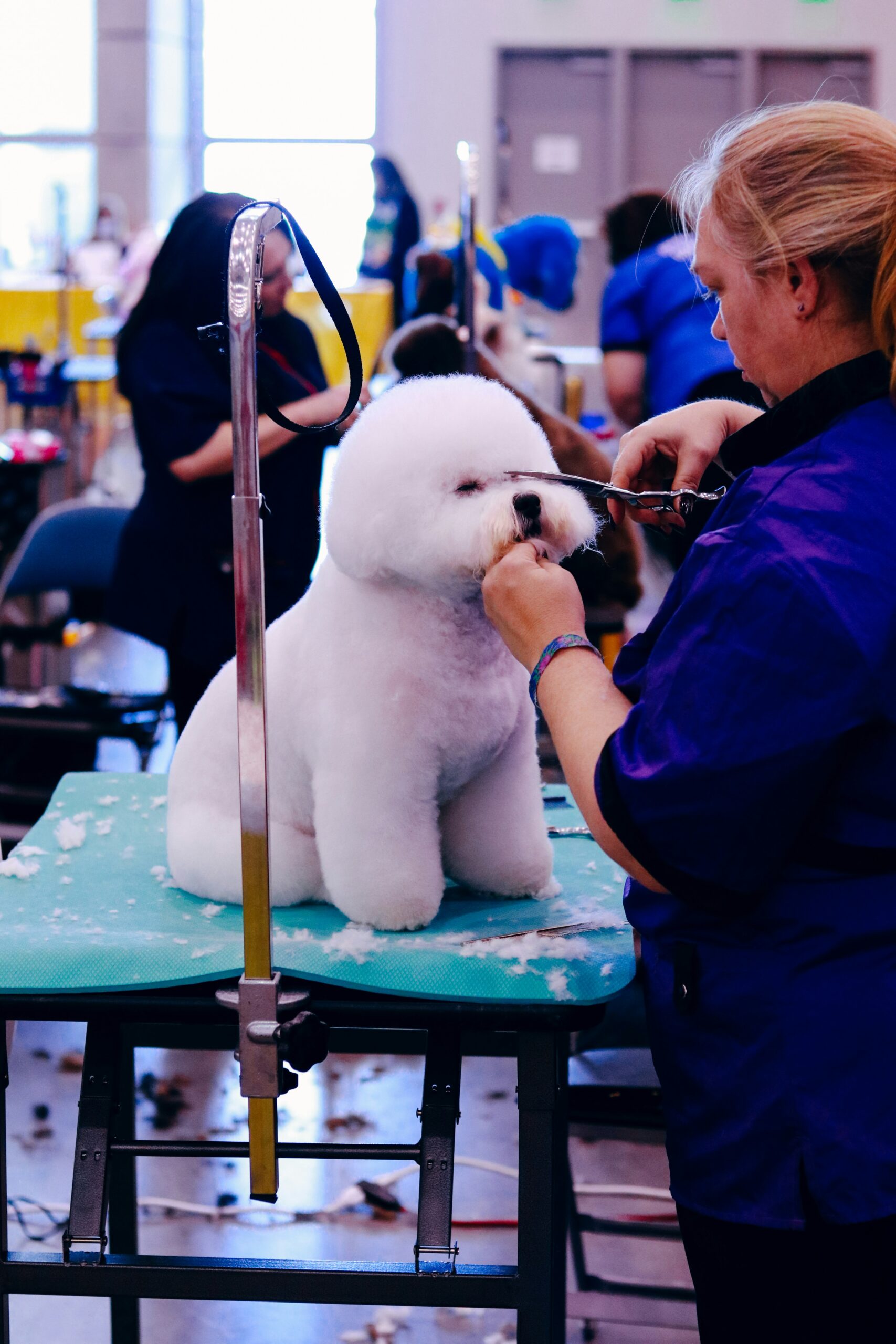 Reserved Grooming